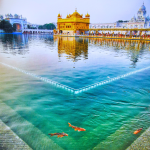 lose-up view of the Golden Temple reflecting in the holy sarovar pool.