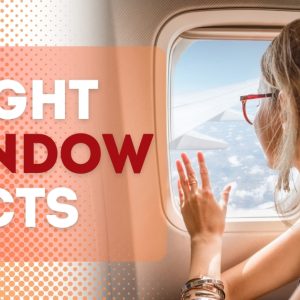 Important Facts Everyone Should Know About Flight Windows