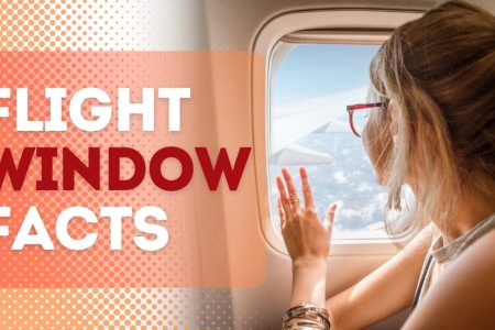 Important Facts Everyone Should Know About Flight Windows